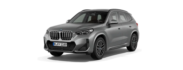 BMW X1 in BMW Individual Frozen Pure Grey metallic