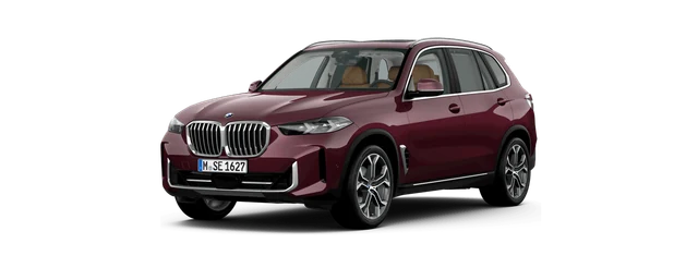 BMW X5 in Ametrin metallic