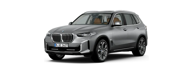 BMW X5 in BMW Individual Frozen Pure Grey metallic