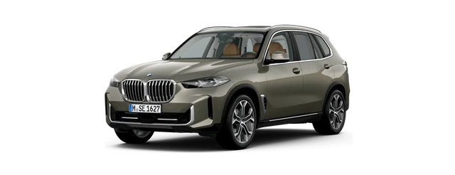 BMW X5 in Manhattan metallic