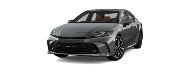 Toyota Camry in Precious Metal